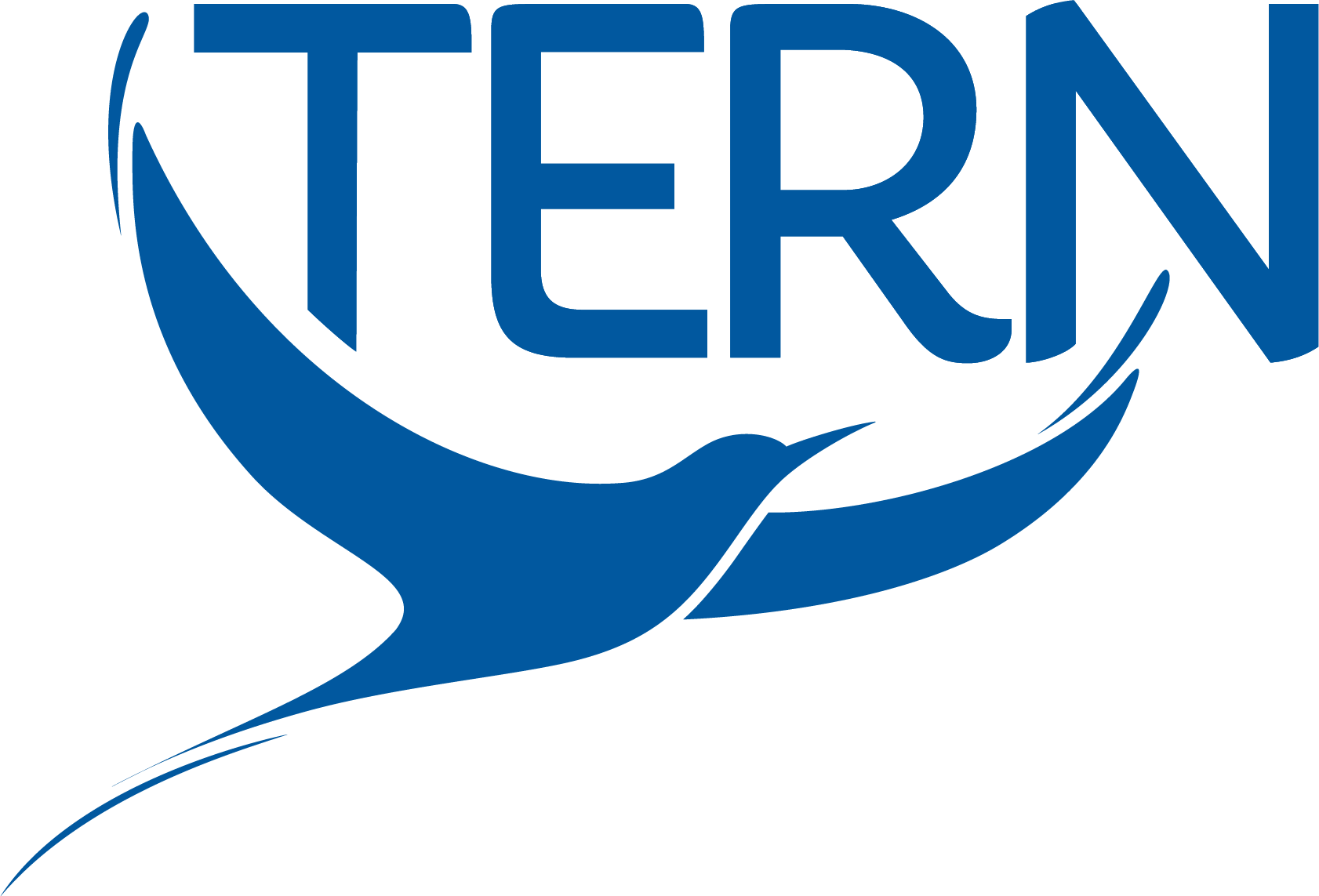 TERN [logo]